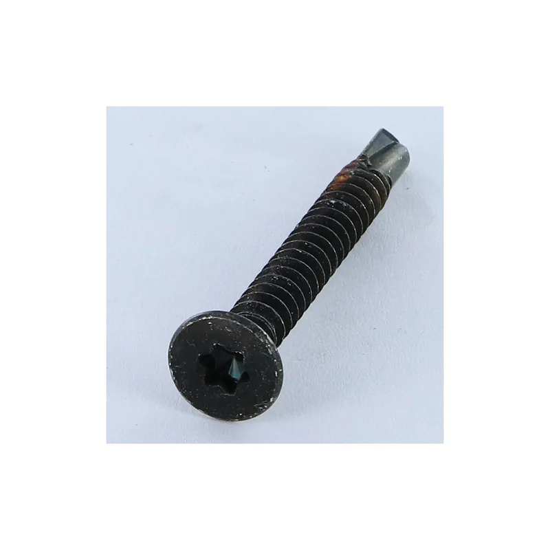 1 x Vis autoperceuse Tête fraisée TORX T25 5.5X50 Acier zingué noir