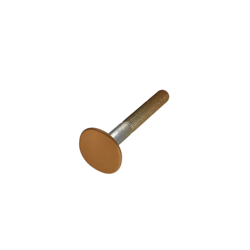 1 x Vis PLAN Tête fraisée LARG 4ERGOT10X80 Acier zingué RAL1011M