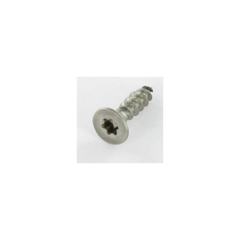 1 x VBA Vis bois agglo Inox A2 Tête fraisée 6X180 TORX T25