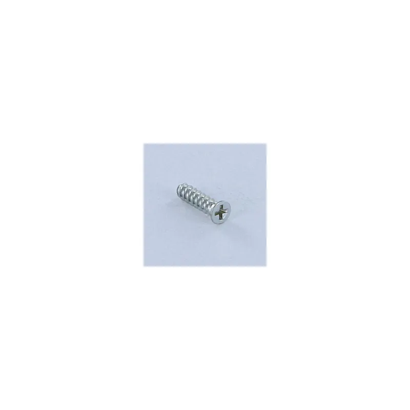 1 x Vis autotaraudeuse Pour Plastique Tête fraisée Phillips n° 0 1.6X4 Acier zingué microvis
