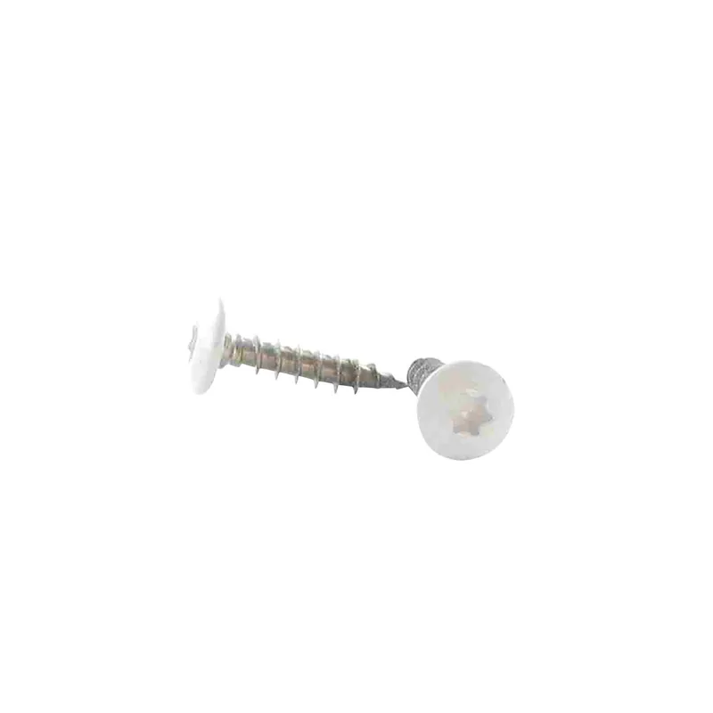 1 x Vis Penture 6X40 Filetée sur 38 TORX T30 Inox A2 LQBLC RAL9016 blanc signalisation
