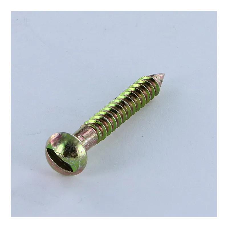 1 x Vis Planter Tête cylindrique bombée TCB Fendue 5X40 Filetage partiel Bichromaté