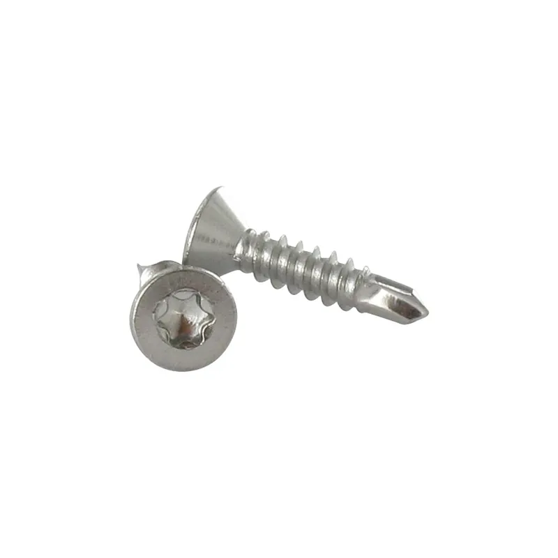 1 x Vis autoperceuse Inox A2 Tête fraisée 4.8X100 TORX T25