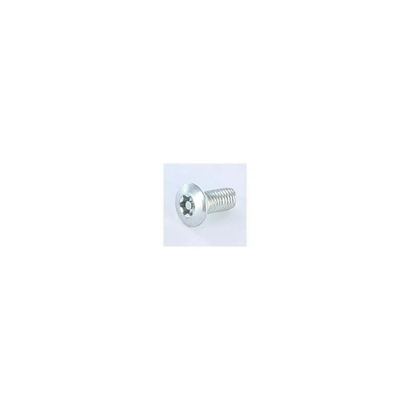 1 x Vis autotaraudeuse Inviolable 5X12 Tête fraisée bombée TFB T25+TETON Acier zingué