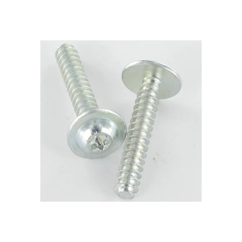 1 x Vis pvc Tête ronde large 5X30 TORX T25 Acier zingué