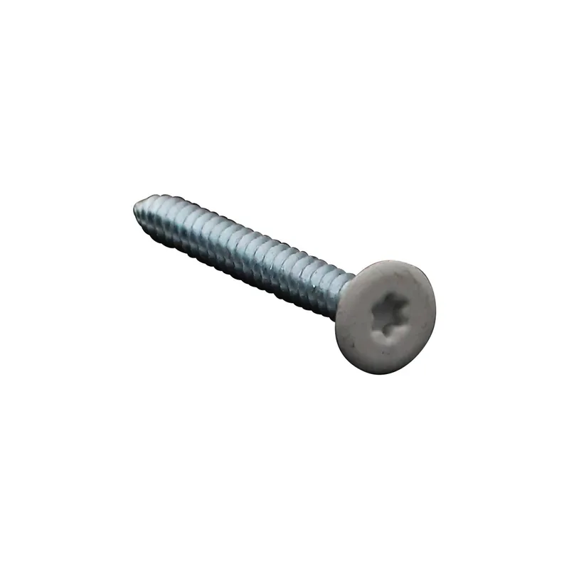 1 x Vis tôle Double filet Tête plate TORX T20 4.8X45 Acier zingué RAL9010 blanc pur