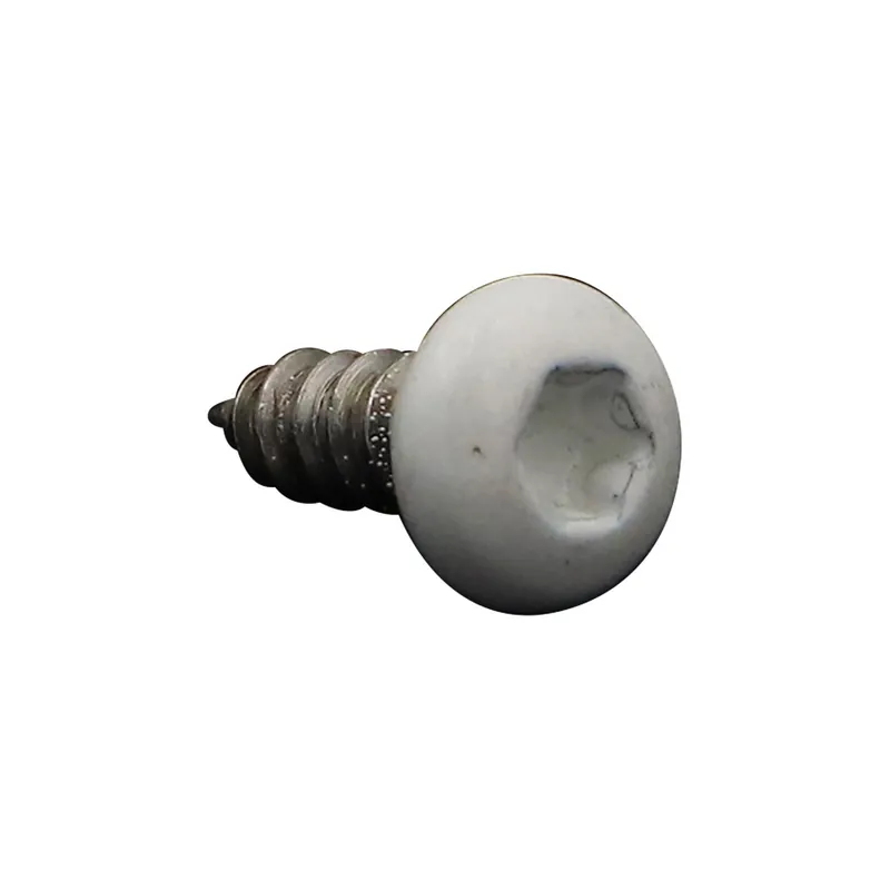 1 x Vis tôle tête cylindrique bombée large 4.2X13 Inox A2 TORX T20 RAL9010 blanc pur