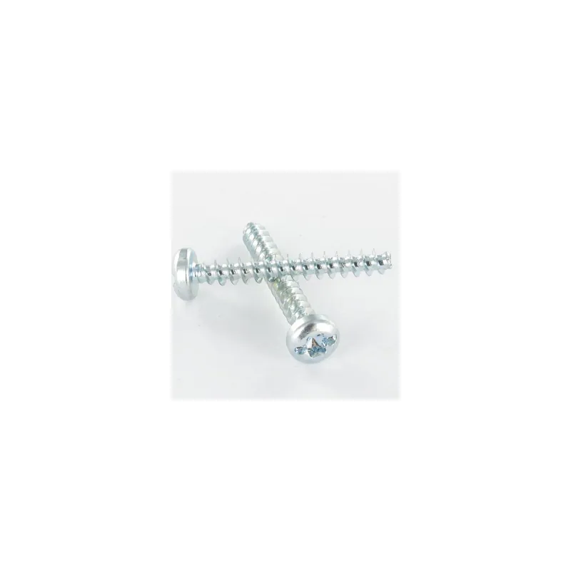 1 x Vis pvc Tête cylindrique TC TORX T25 /FEND 5X12 Filet 30 Acier zingué