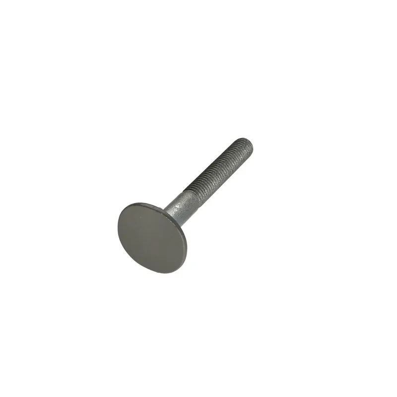 1 x Vis Tête fraisée LARG 4ERGOT10X80 RAL7023 30%BRILL