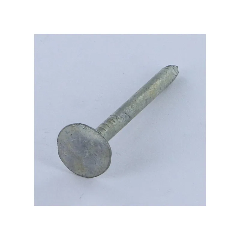 1 x Kg de pointes ARDOISE Tête extra large TEL 3X25 Diamètre de tête 12 Forte tenue à la corrosion Acier galvanisé