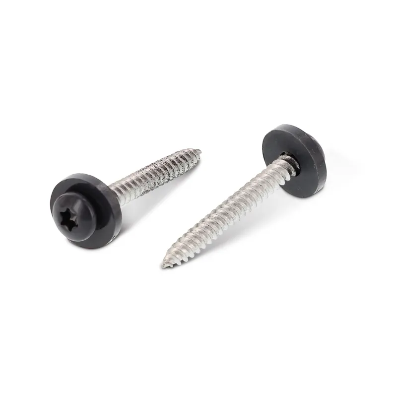 1 x Vis tôle Tête cylindrique TC TORX T15 + Rondelle Nylon 3.9X25 Inox A2 RAL7016 gris anthracite