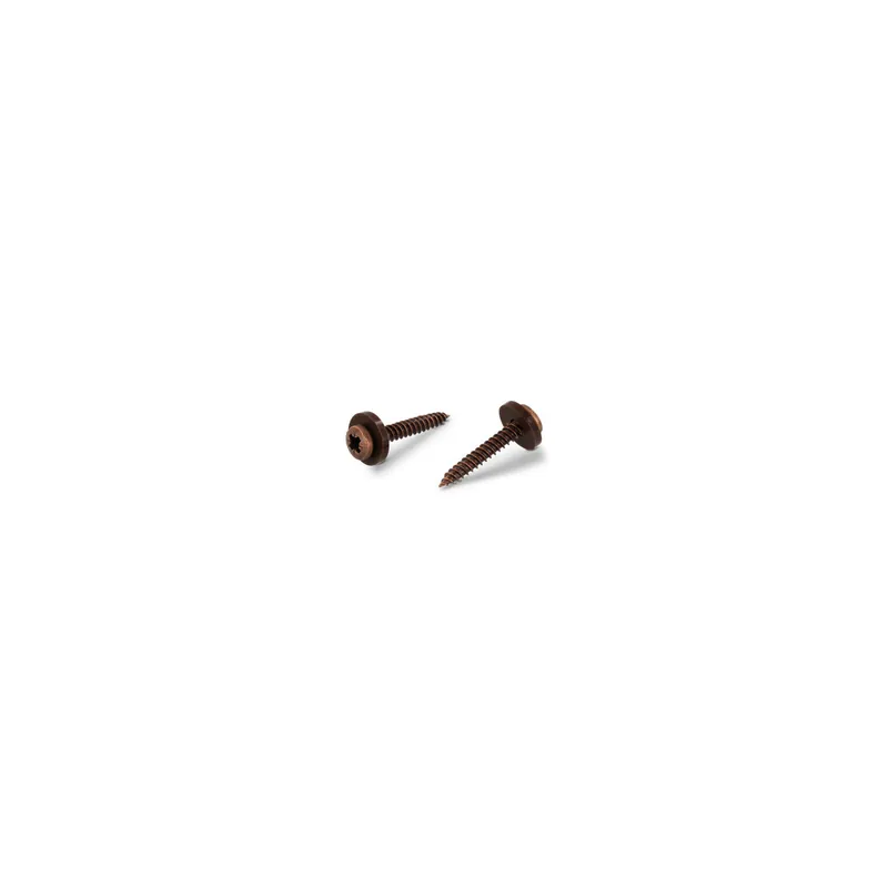 1 x Vis tôle Tête cylindrique TC Pozi N°2 + Rondelle Nylon 3.9X32 Inox A2 Marron