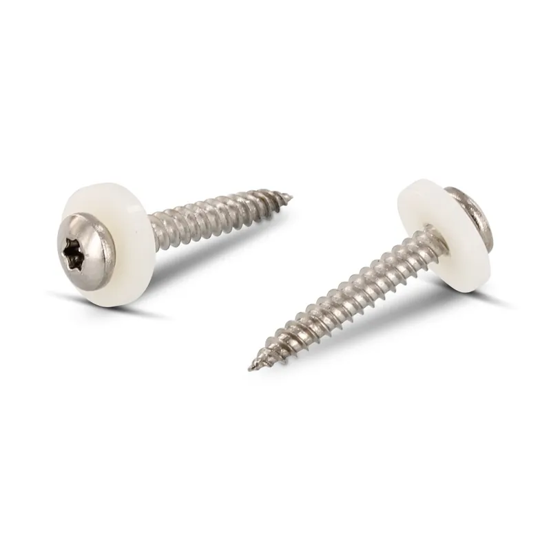 1 x Vis tôle Tête cylindrique TC TORX T15 + Rondelle Nylon 3.9X25 Inox A2 Naturel
