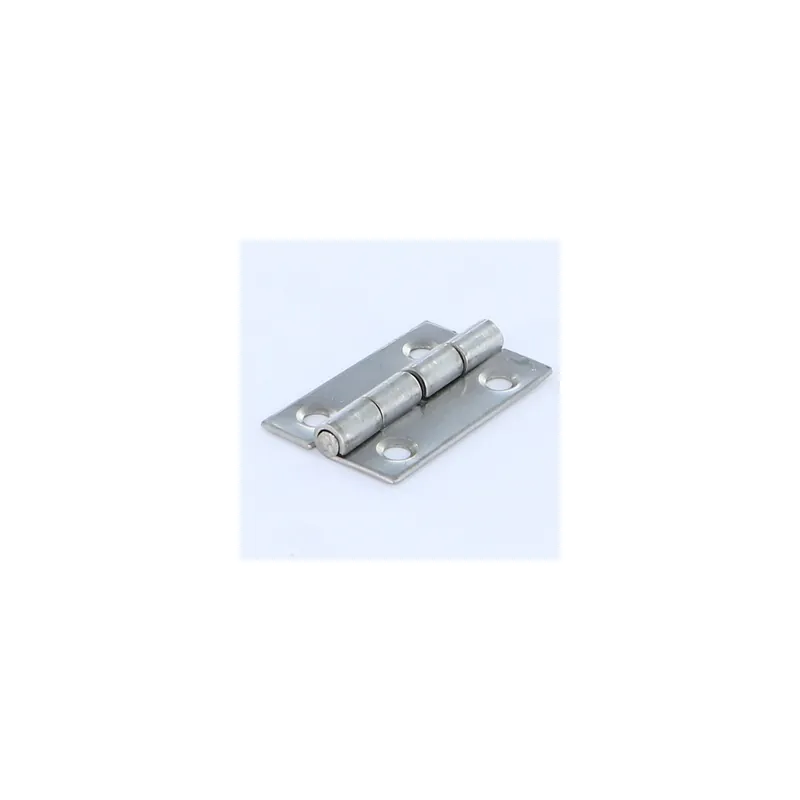 1 x Charnière Rectangulaire 50X30 Inox