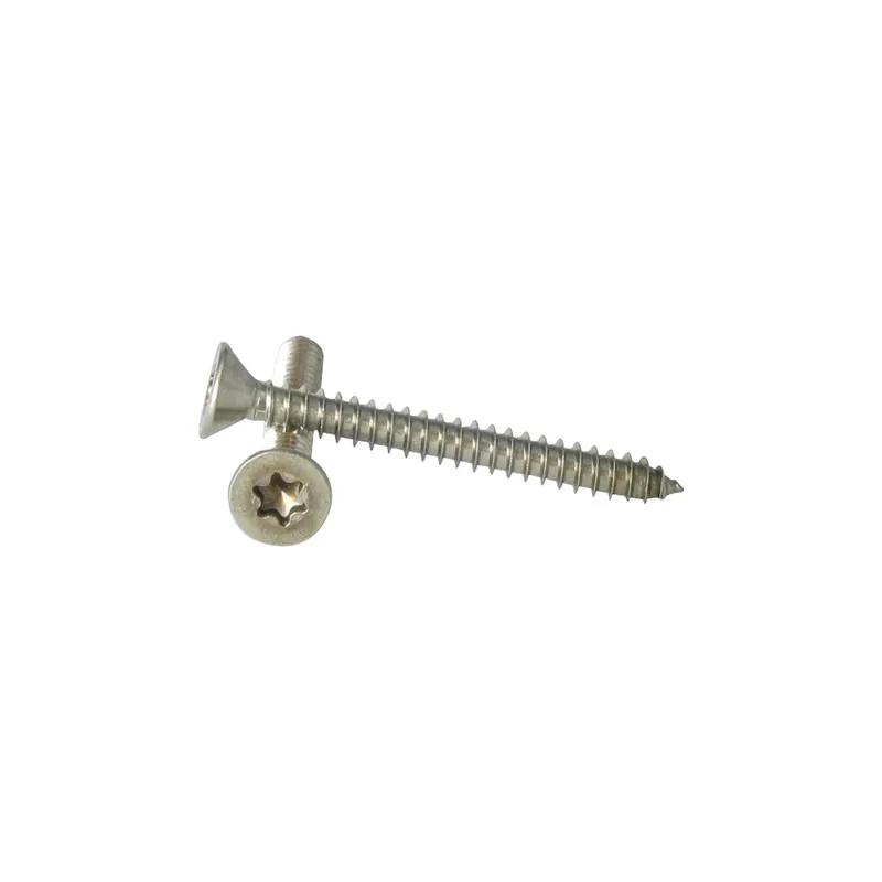 1 x Vis tôle Tête fraisée TORX T25 4.8X60 Inox A2