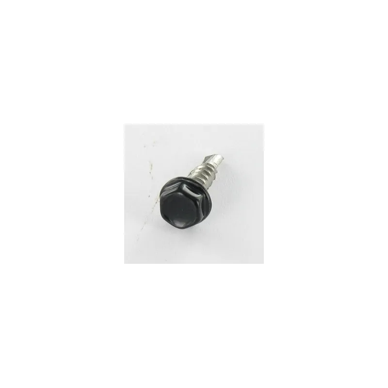1 x Vis autoperceuse Tête hexagonale TH 4.2X16 Inox A2 Laqué noir RAL9005 noir foncé