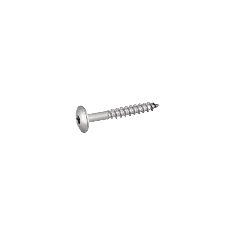 1 x Vis de facade TORX T20 5.5X25 Diamètre de tête 12.3 Inox A2