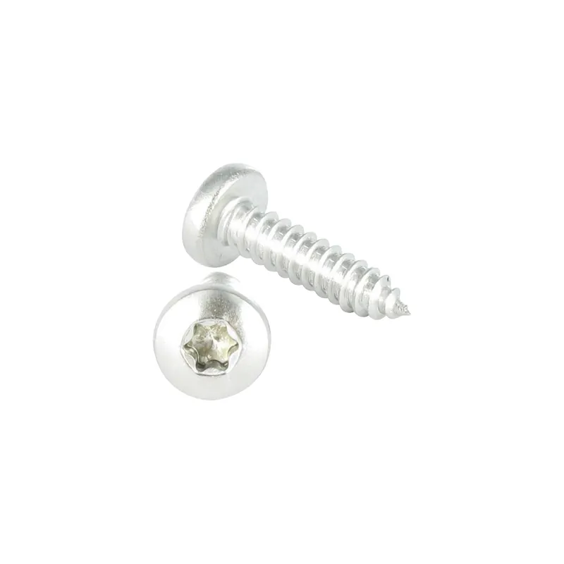 1 x Vis tôle tête cylindrique bombée large 3.9X19 Inox A2 TORX T15 Noir