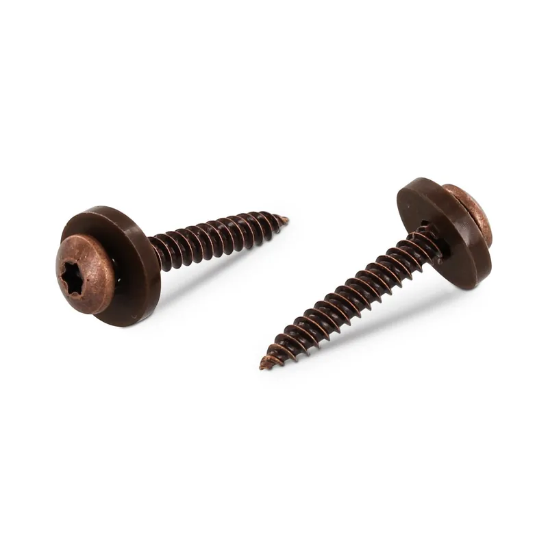 1 x Vis tôle Tête cylindrique TC TORX T15 + Rondelle Nylon 3.9X19 Inox A2 Marron
