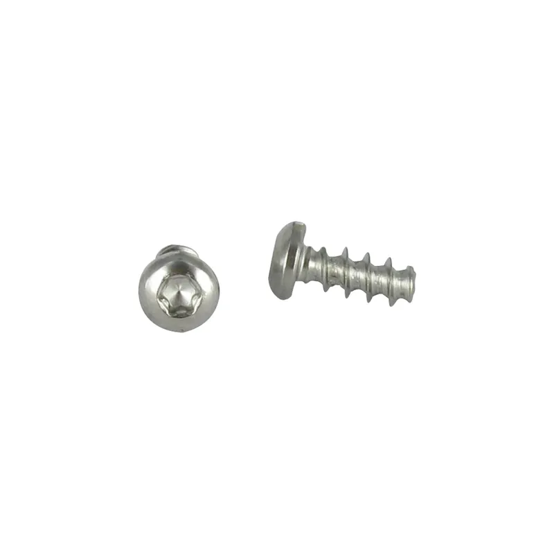 1 x Vis pvc tête cylindrique bombée large 4X14 TORX T20 Inox A2