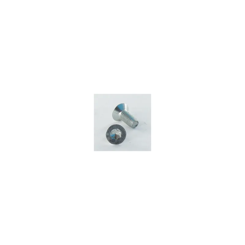 1 x Vis autotaraudeuse Tête fraisée TORX T20 4X6 Inox A2