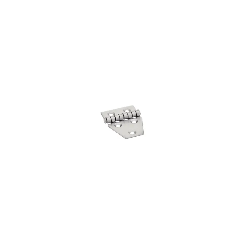 1 x Charnière Type C 5 trous Inox A2 55X40