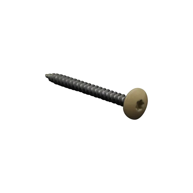 1 x Vis Penture 4.5X50 Filetage total TORX T20 Acier zingué LAQ RAL1014