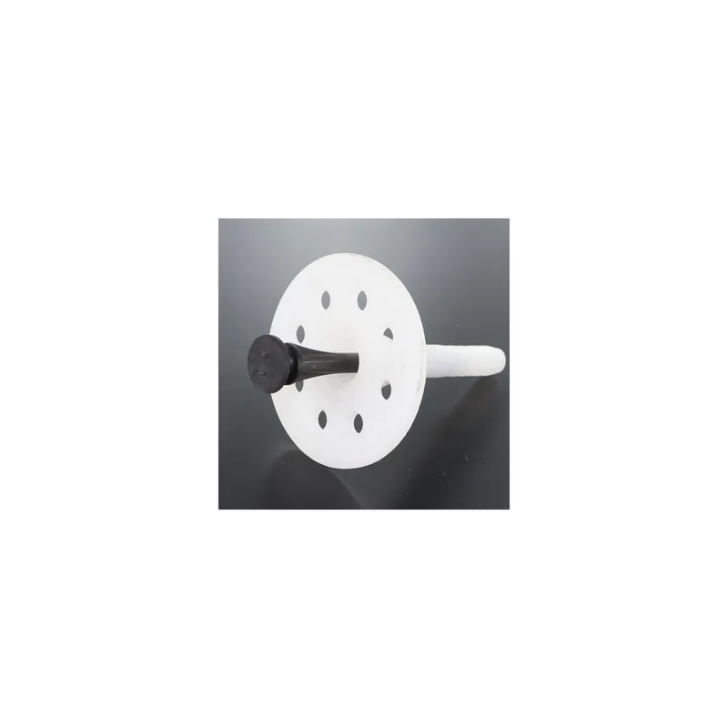 1 x Cheville d‘isolation 10X220 et Clou SYNTHETIQ