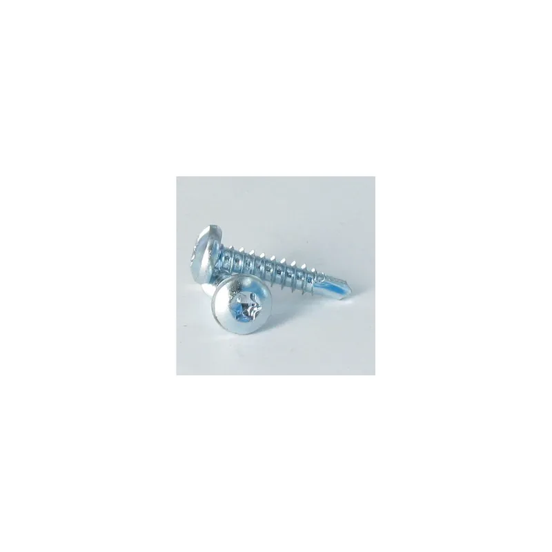 1 x Vis autoperceuse Tête cylindrique bombée TCB 4.8X16 TORX T25 Acier zingué