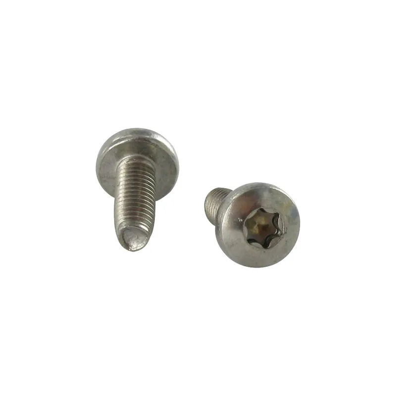 1 x Vis autotaraudeuse Tête cylindrique bombée TCB TORX T8 2.5X5 Inox A2 microvis