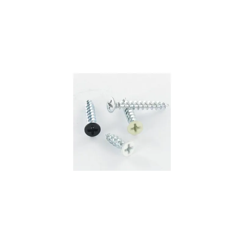 1 x Vis pvc TFH Phillips 4.3X25 Acier zingué noir