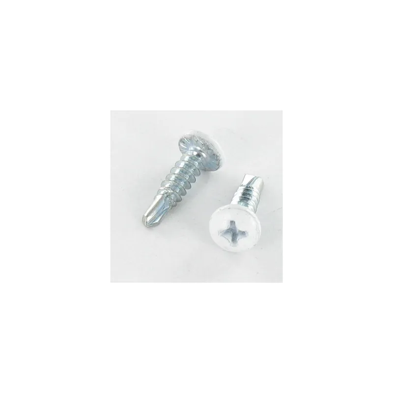 1 x Vis autoperceuse Tête cylindrique bombée TCB Phillips 3.9X13 Acier zingué RAL9010 blanc pur