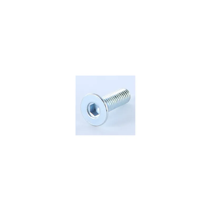1 x Vis métaux FHC tête fraisée empreinte hexagonale creuse M6X20 Clé de 4 HC4 Acier zingué