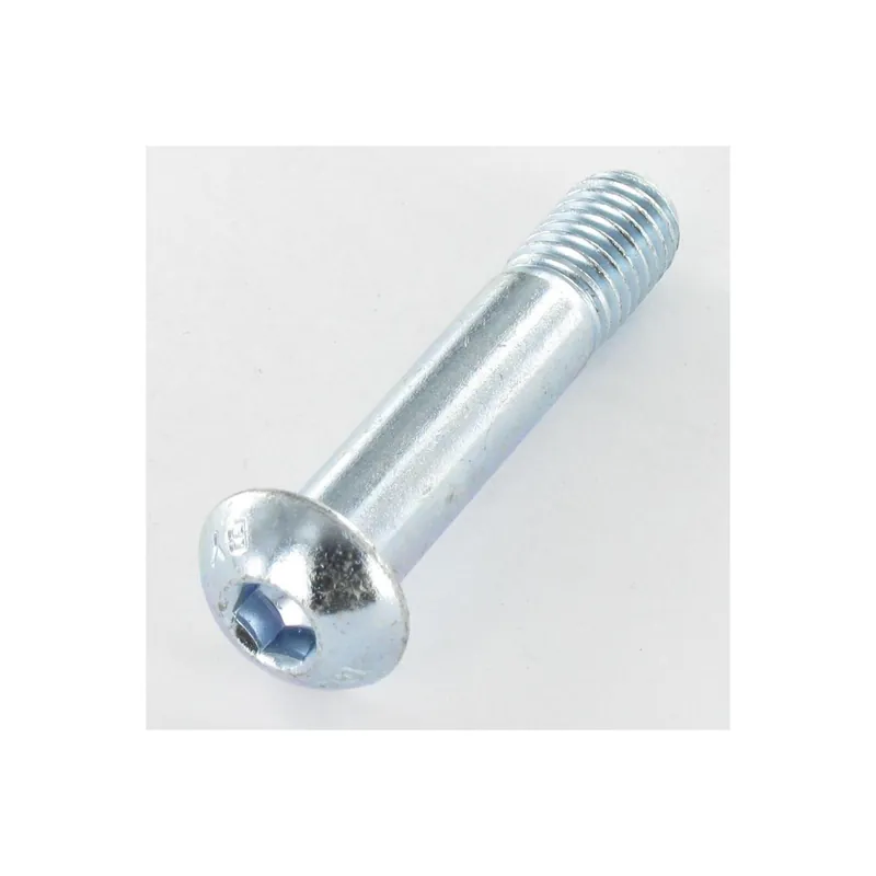 1 x Vis métaux BHC (Tête Bombée Hexagonal creux) M10X50 Filetée sur 13 Classe 10.9 Clé de 6 HC6 Acier zingué