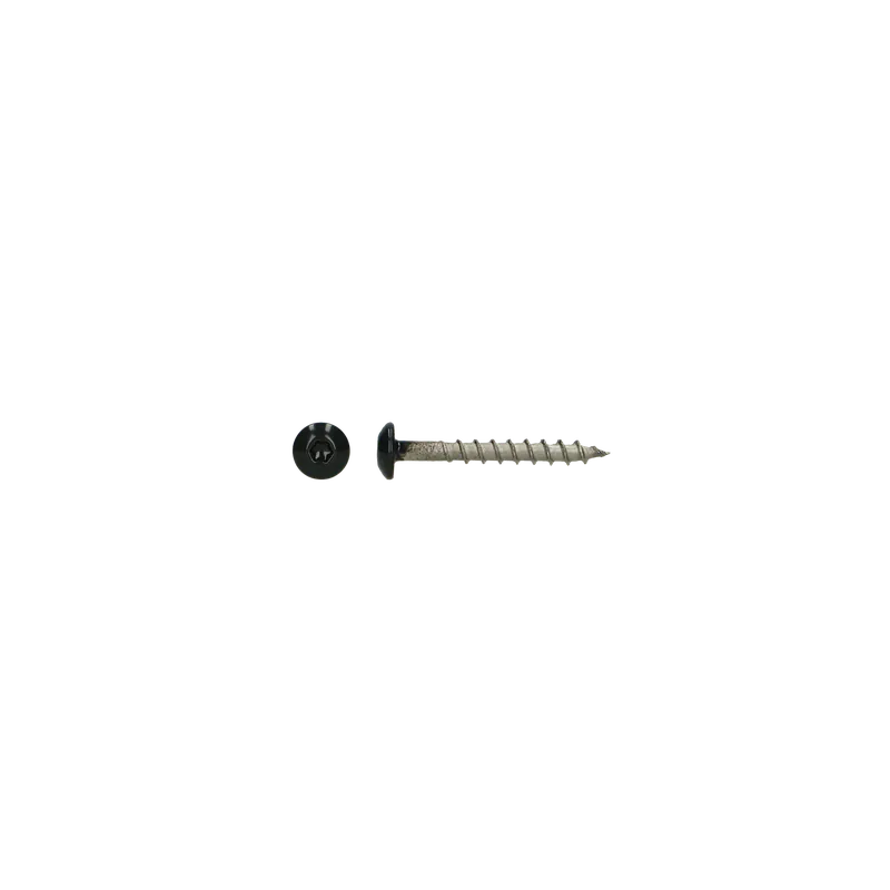 1 x Vis Penture 4.5X35 TORX T20 Inox A4 RAL7021