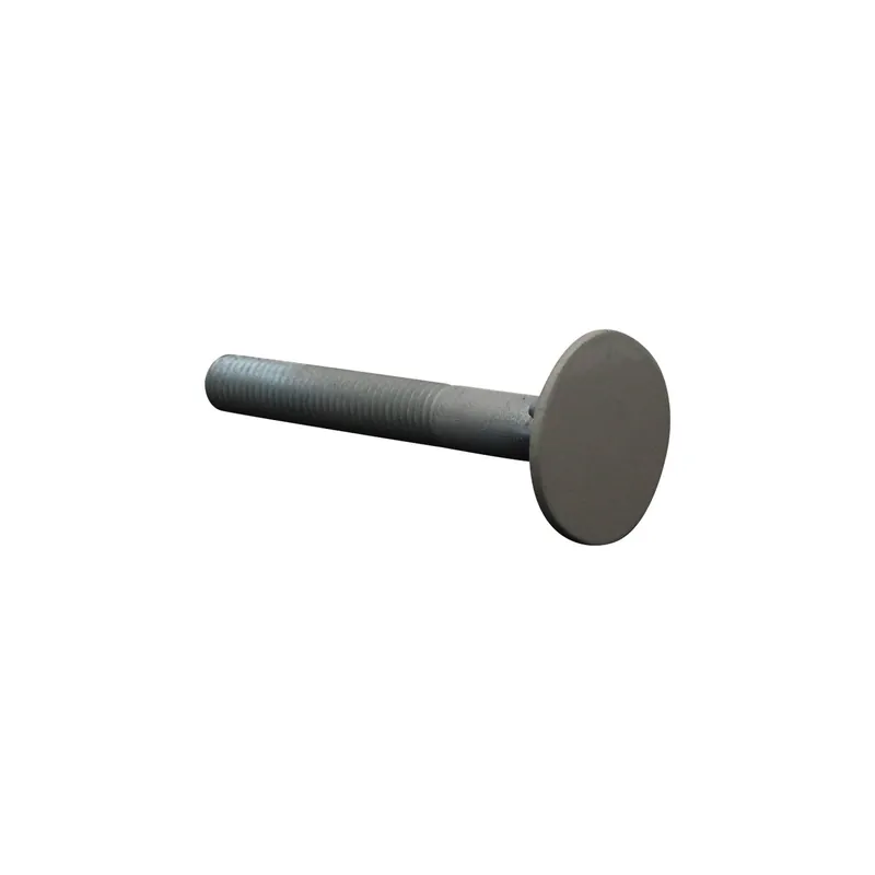 1 x Vis PLAN Tête fraisée LARG 10X80 4ERGOTZG RAL7044