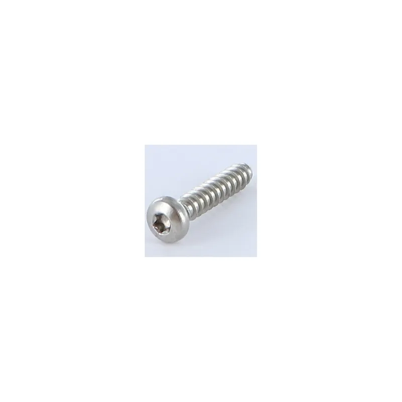 1 x Vis tôle tête cylindrique bombée large TORX 5.5X25 Inox A2 Sans pointe