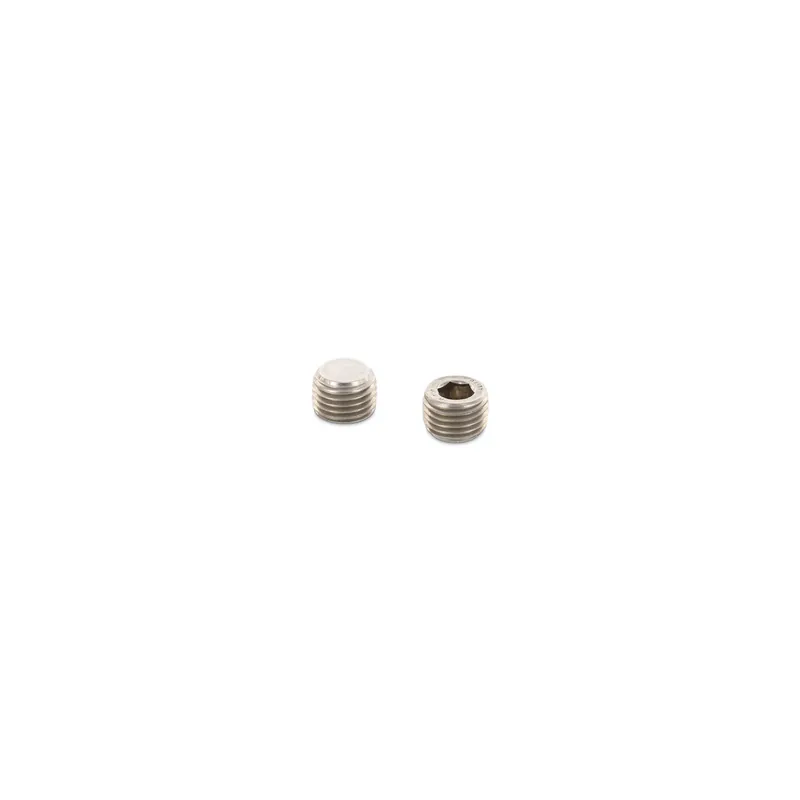 1 x Bouchon mâle hexagonal creux à visser SW7 1/4" 10X8 Inox A2