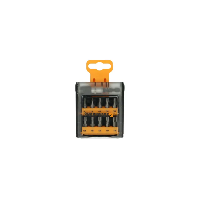 1 x Assortiment de 10 Embout TX + 1 Porte Embout