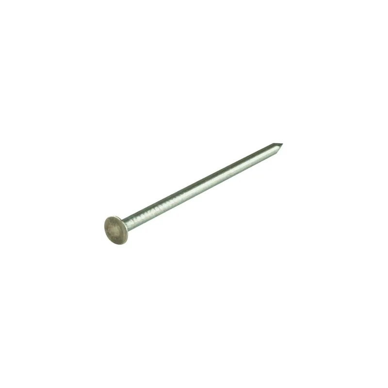 1 x Kg de pointes Inox A2 Tête plate 6,0X160