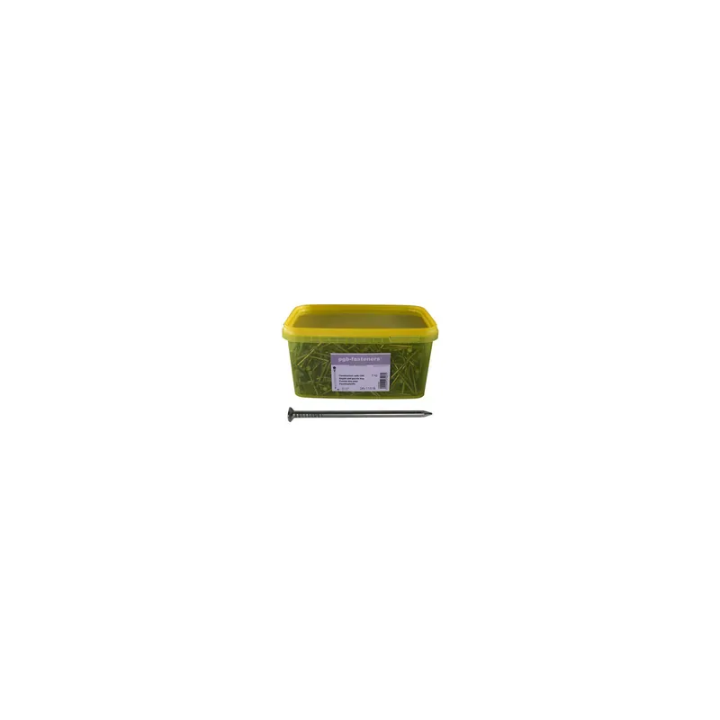 1 x Seau de 5 KG De Pointes Tête plate Acier brut 5,0X125