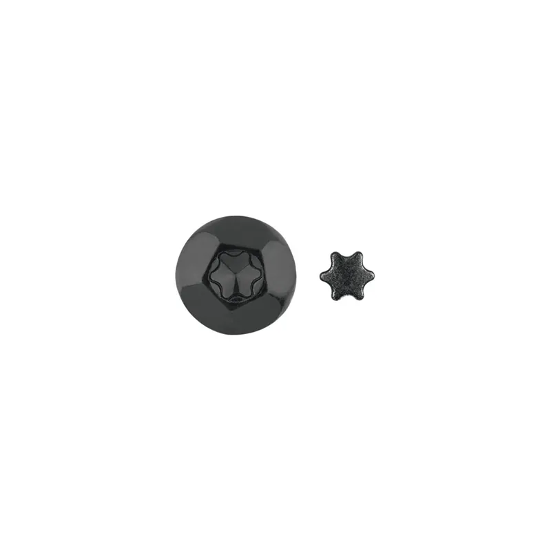 1 x ELEMENT ANTI-INTRUSION TORX T40 Acier zingué noir