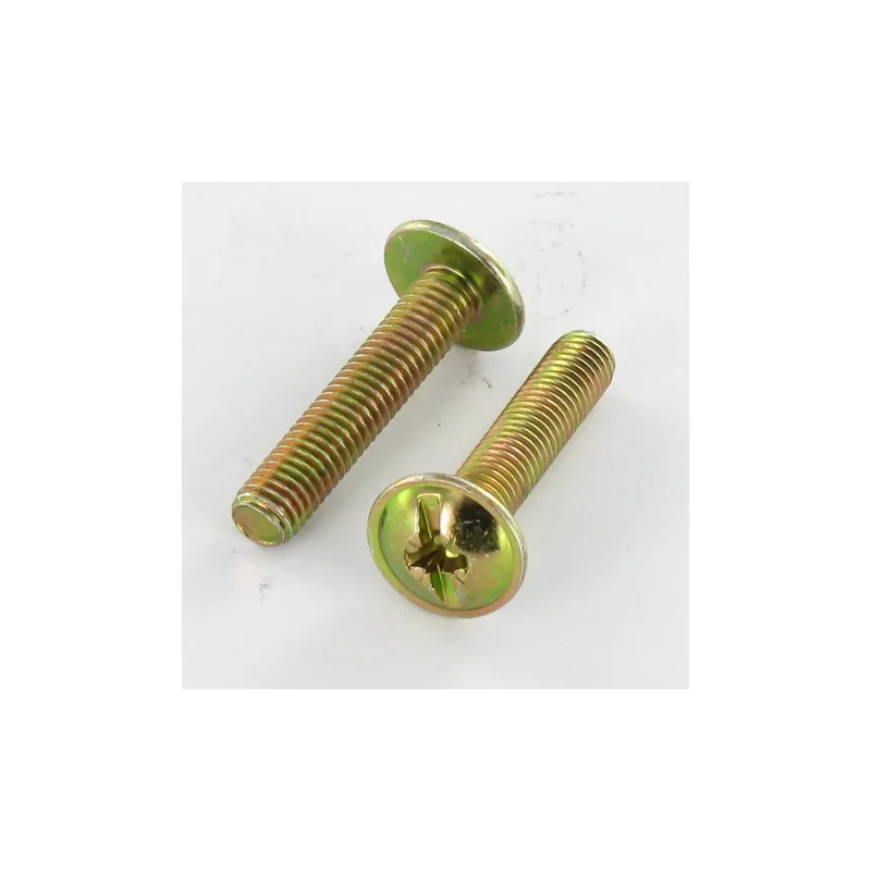 1 x Vis Poelier POZI et fendu M6X10 Bichromaté