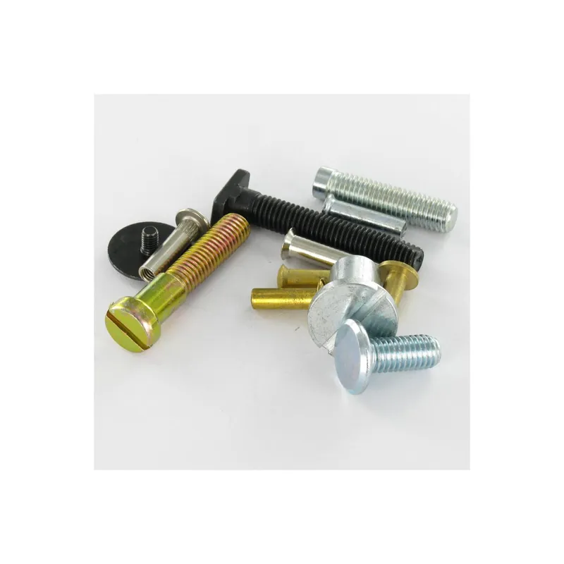 1 x Vis QUART De TOUR 8X55 Inox A2/70