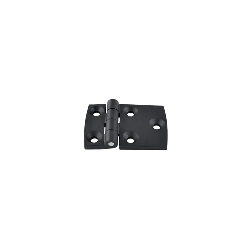 1 x Charnière Asymétrique 60X40 nylon noir