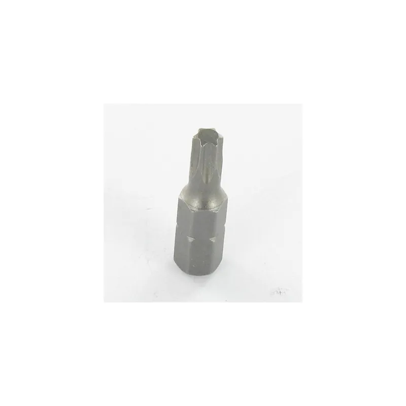 1 x Embout TORX T25 Longueur 90