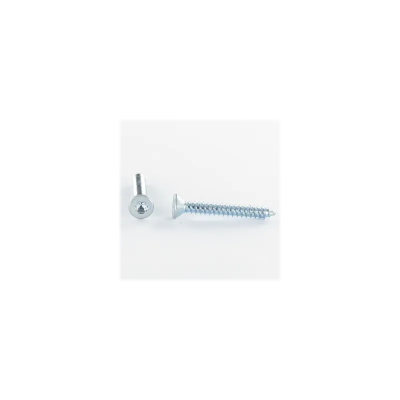 1 x Vis tôle Tête fraisée TORX T25 4.8X25 Acier zingué