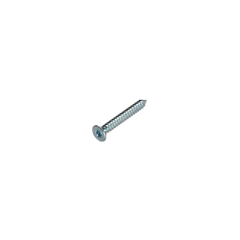 1 x Vis tôle Tête fraisée TORX T30 6.3X32 Acier zingué