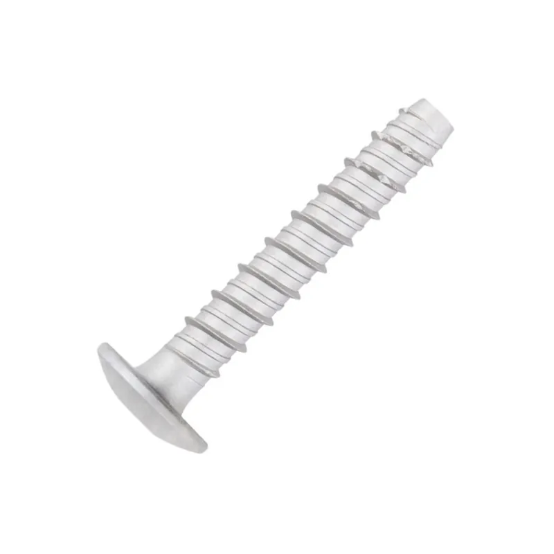 1 x Vis béton Tête Bombée TORX TORX T30 6X40 Acier zingué