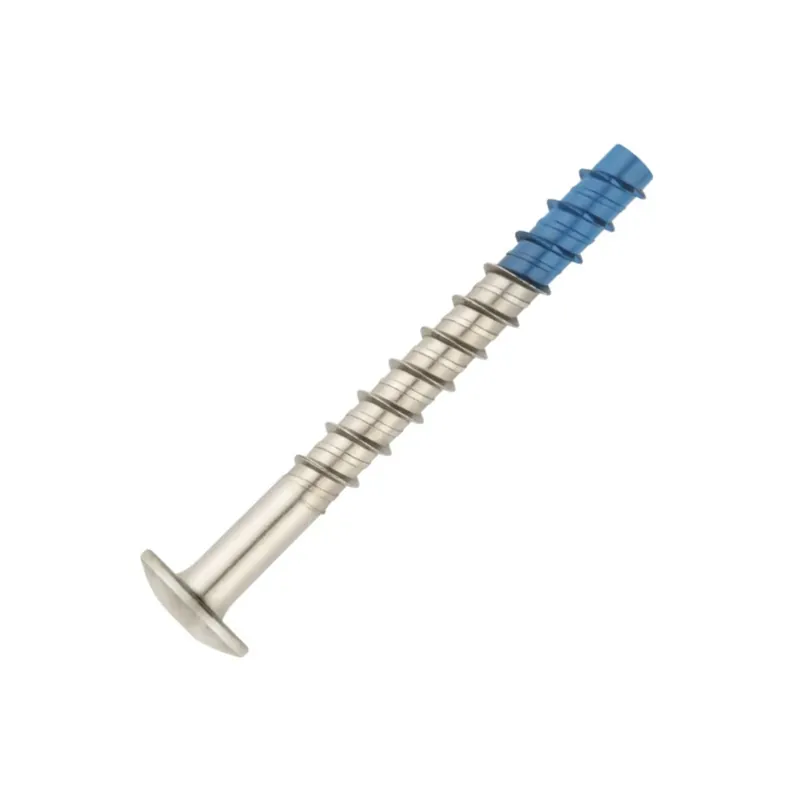 1 x Vis béton Tête Bombée TORX TORX T30 6X60 Bimétal